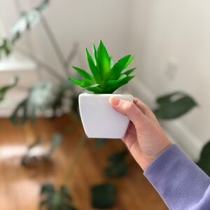 Faux Succulent Plant in White Planter Pot Modern Neutral Decor Faux Plant
